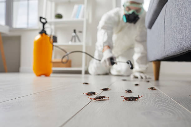 Post-Treatment Bed Bug Interceptor Monitoring in Lynnwood-Pricedale