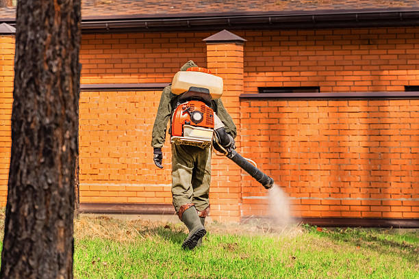 Bed Bug Clearance Verification and Documentation in Lynnwood-Pricedale
